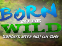 Born To Be Wild May 4 2025 Full Episode